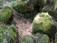 otta delle Femmine27052012 077